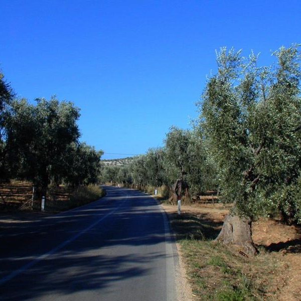 Foto E Paesaggi Tradizionali Della Puglia LaTerradiPuglia Shop